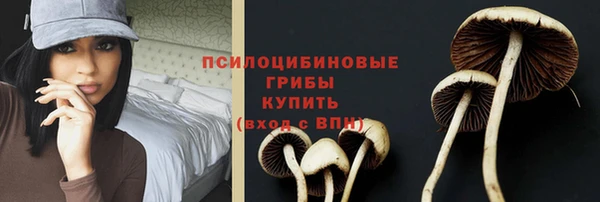 МДПВ Нягань