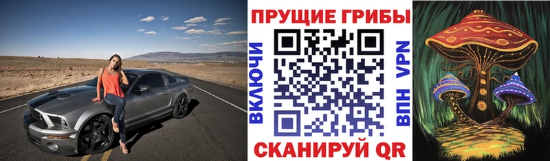 kraken зеркало  маркетплейс официальный сайт  Галлюциногенные грибы мухоморы  Калининск 
